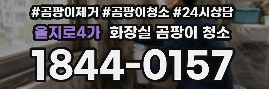 을지로4가 화장실 곰팡이 청소