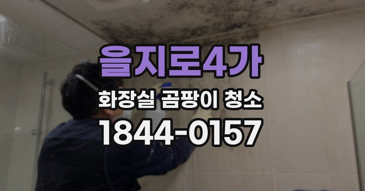 을지로4가 화장실 곰팡이 청소