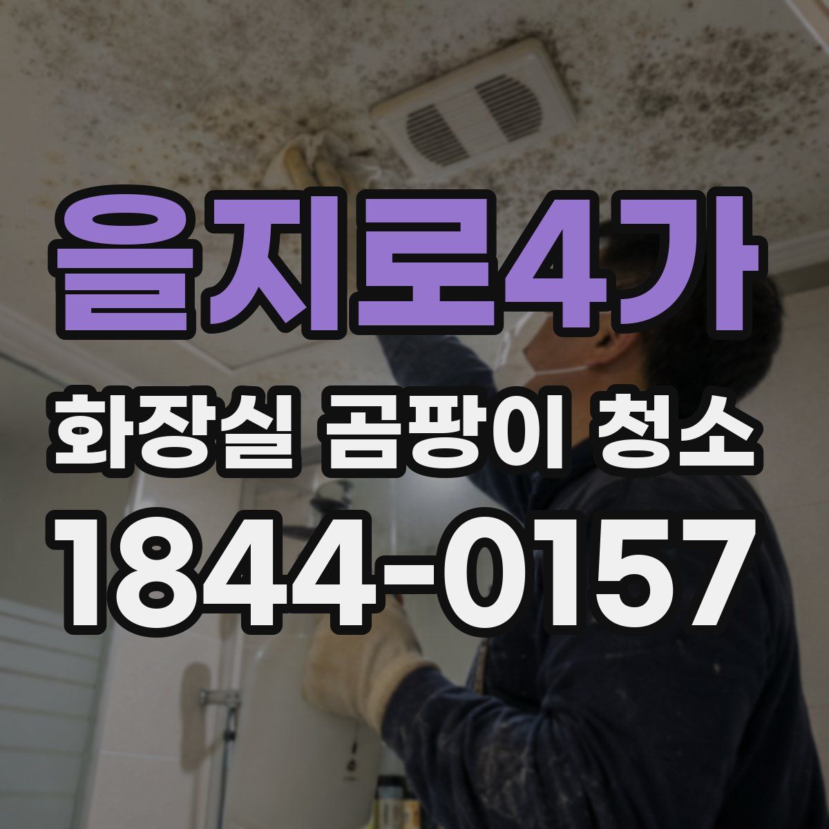 을지로4가 화장실 곰팡이 청소