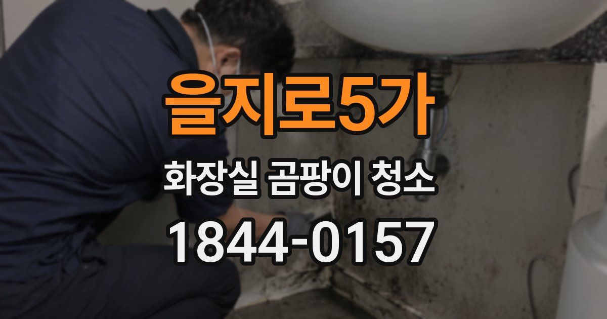 을지로5가 화장실 곰팡이 청소