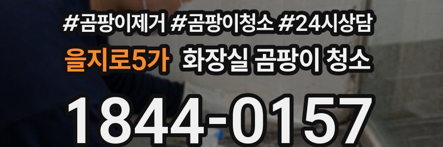 을지로5가 화장실 곰팡이 청소