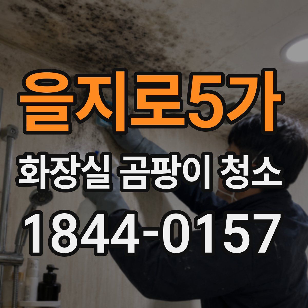 을지로5가 화장실 곰팡이 청소