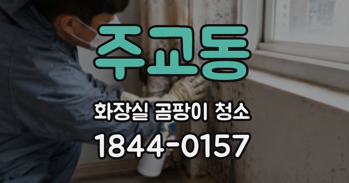 주교동 화장실 곰팡이 청소