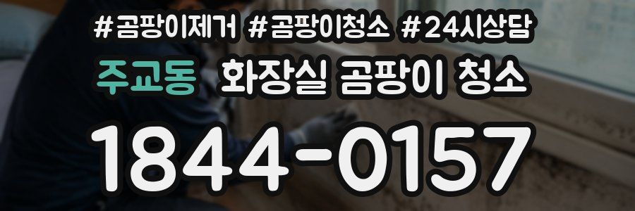 주교동 화장실 곰팡이 청소