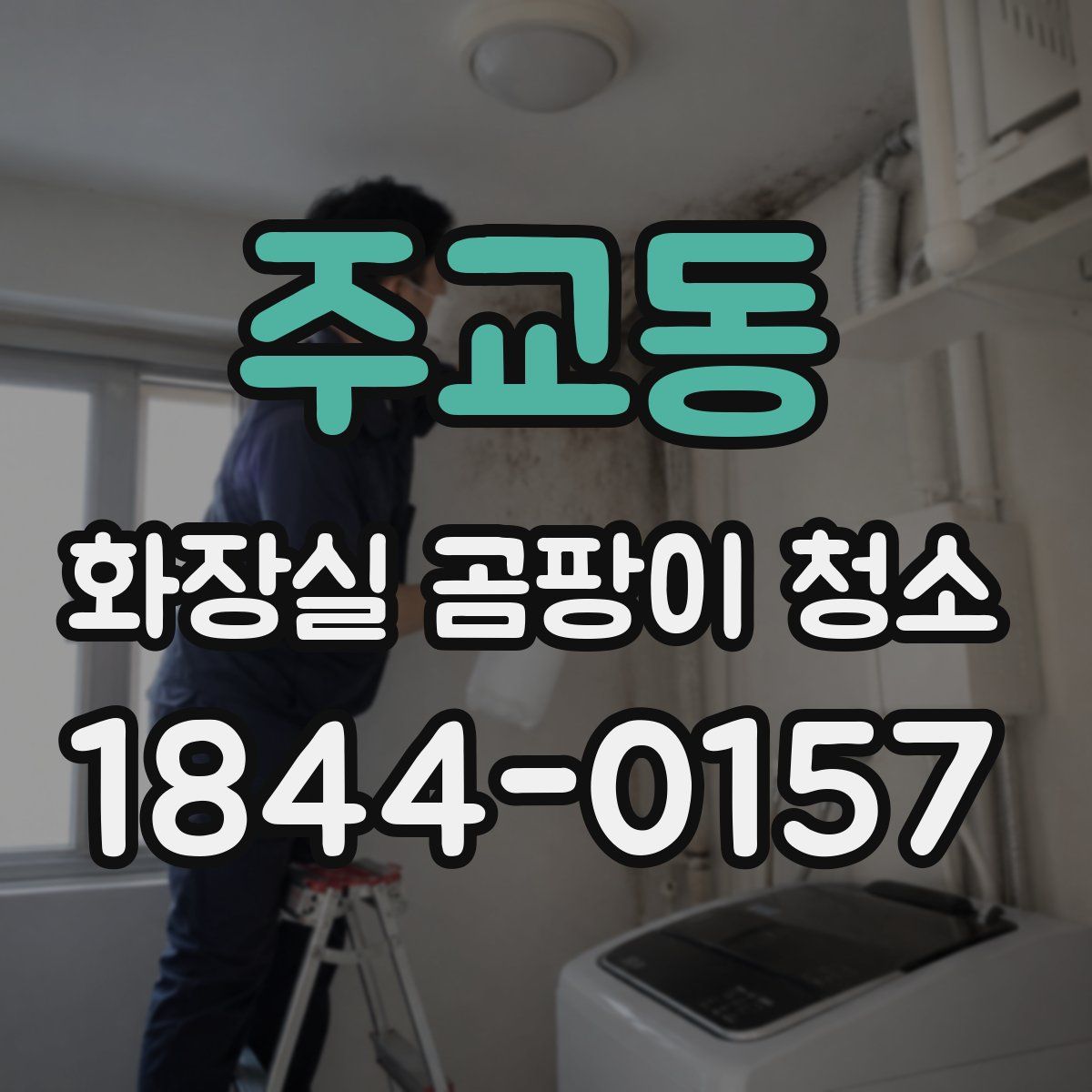 주교동 화장실 곰팡이 청소
