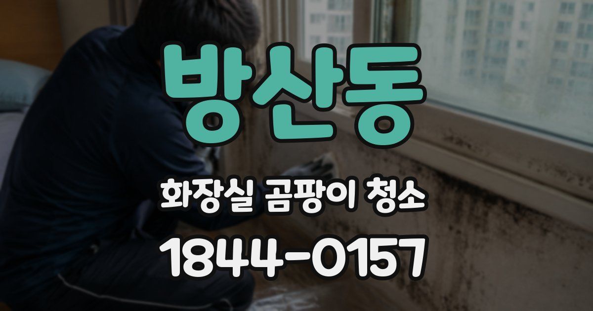 방산동 화장실 곰팡이 청소