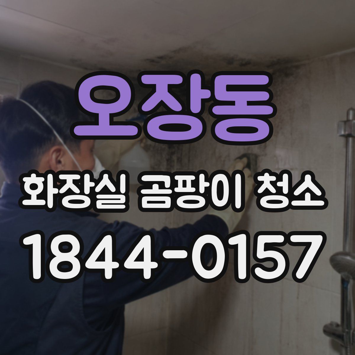 오장동 화장실 곰팡이 청소