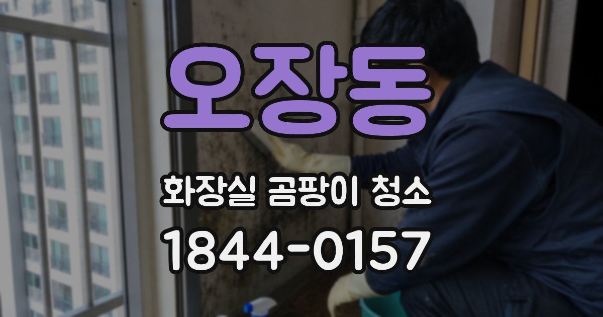 오장동 화장실 곰팡이 청소