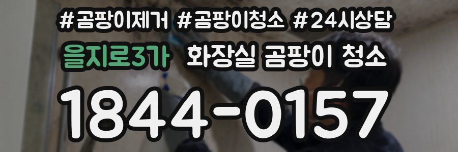 을지로3가 화장실 곰팡이 청소