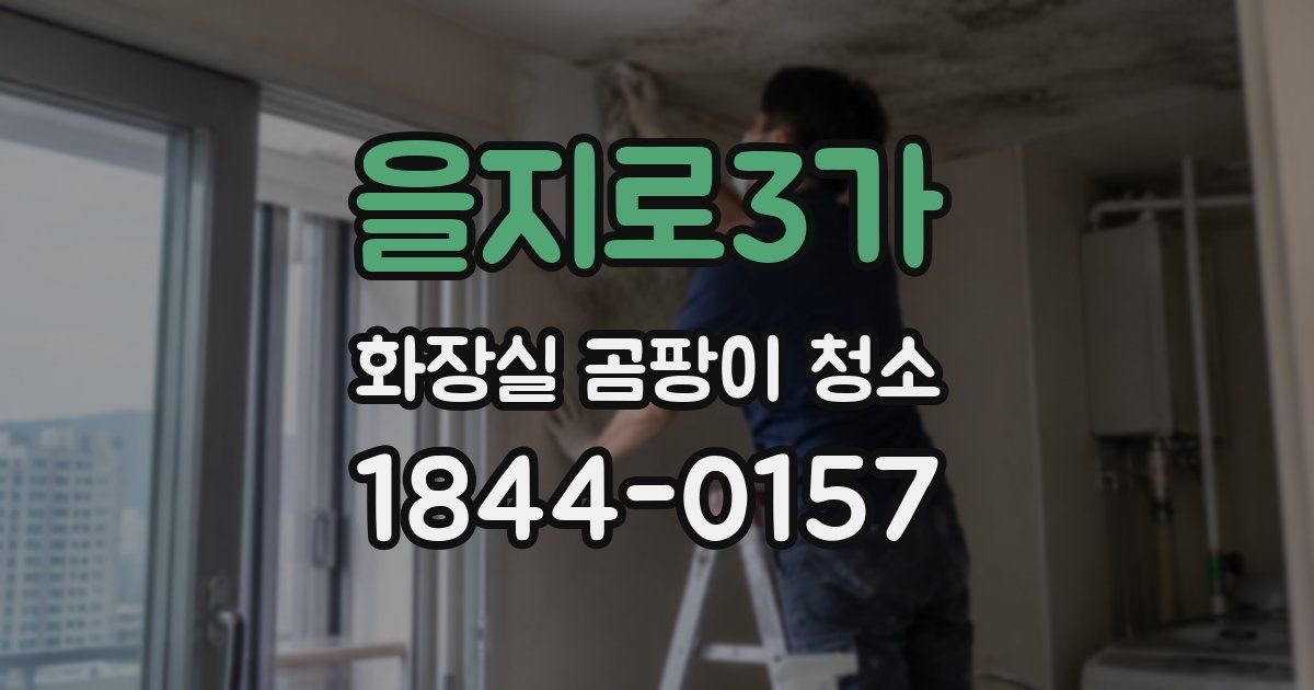 을지로3가 화장실 곰팡이 청소