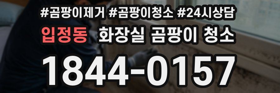 입정동 화장실 곰팡이 청소