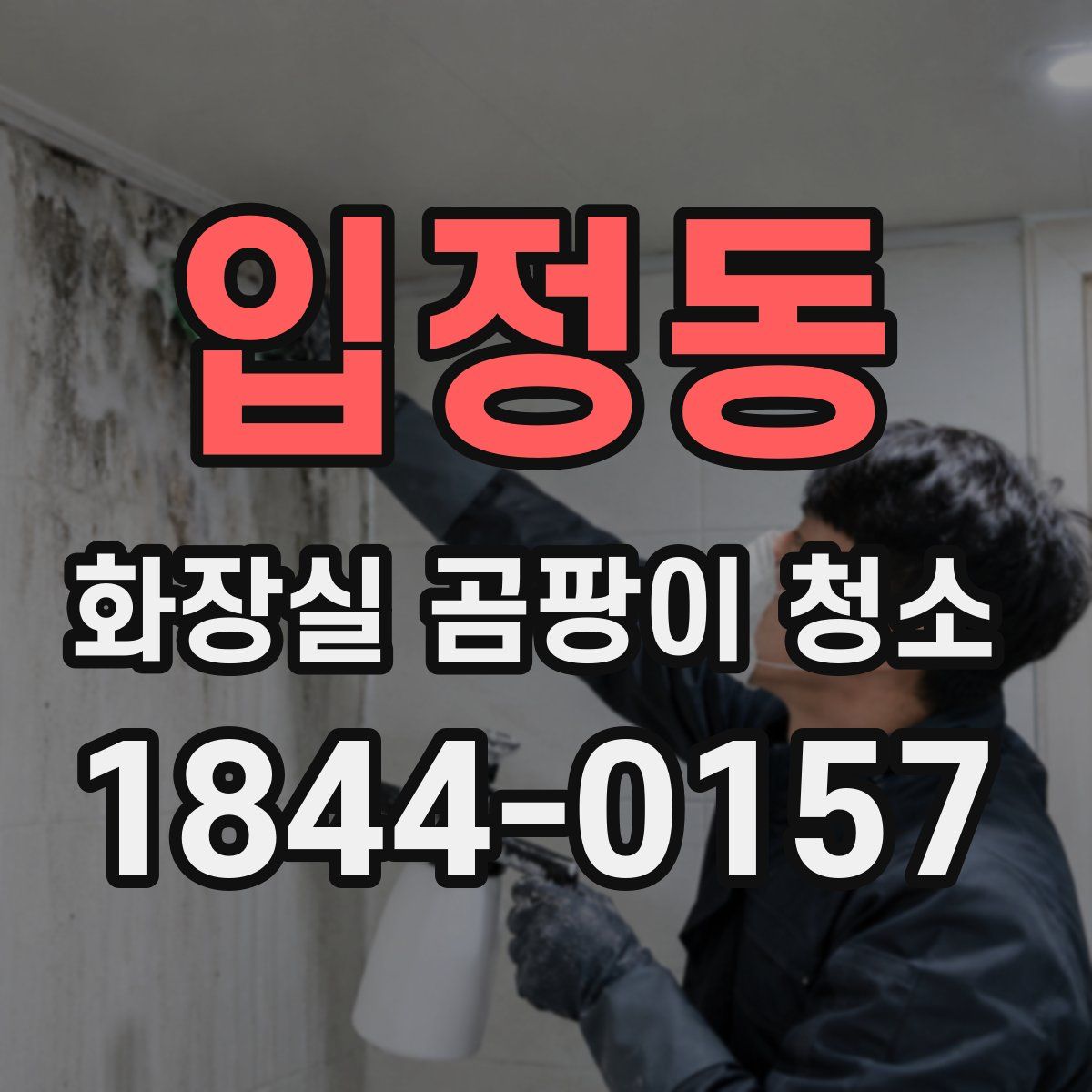 입정동 화장실 곰팡이 청소