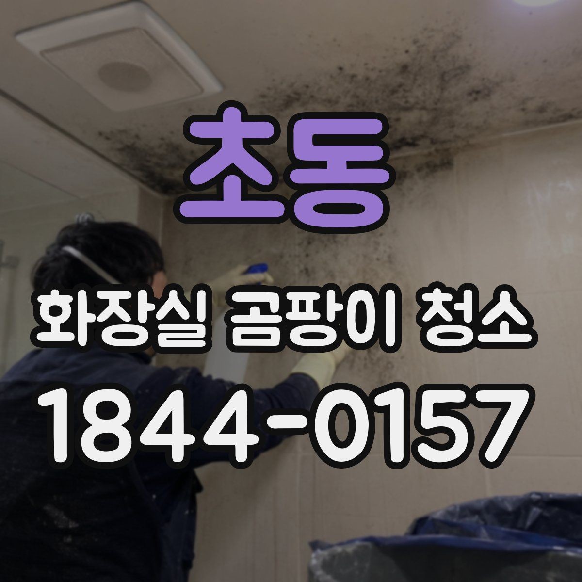 초동 화장실 곰팡이 청소 환기 구조에 따라 달라지는 관리 포인트