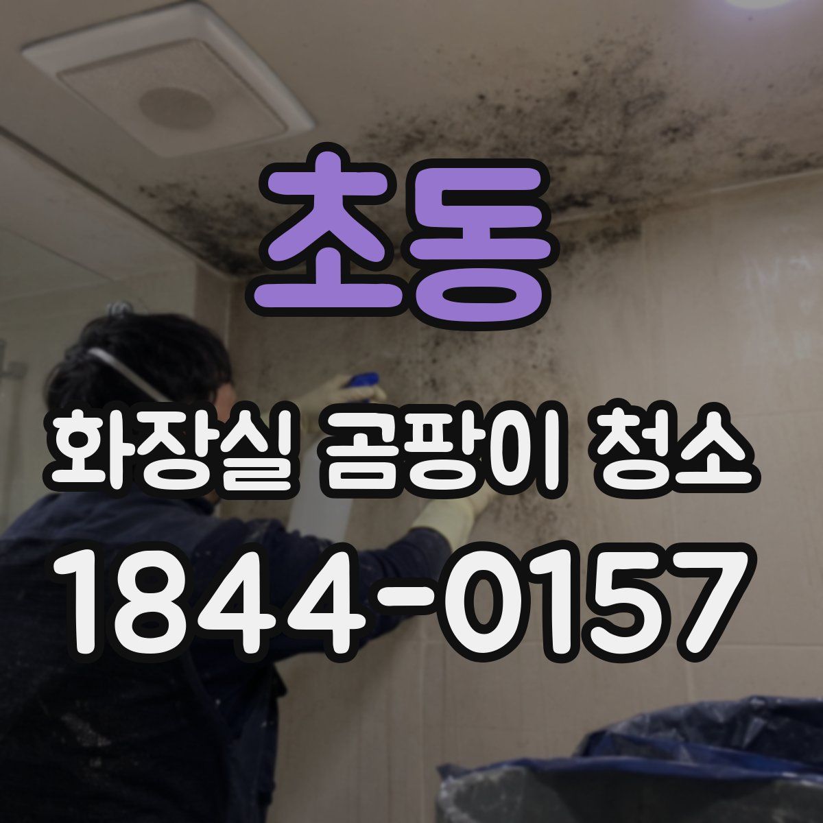 초동 화장실 곰팡이 청소