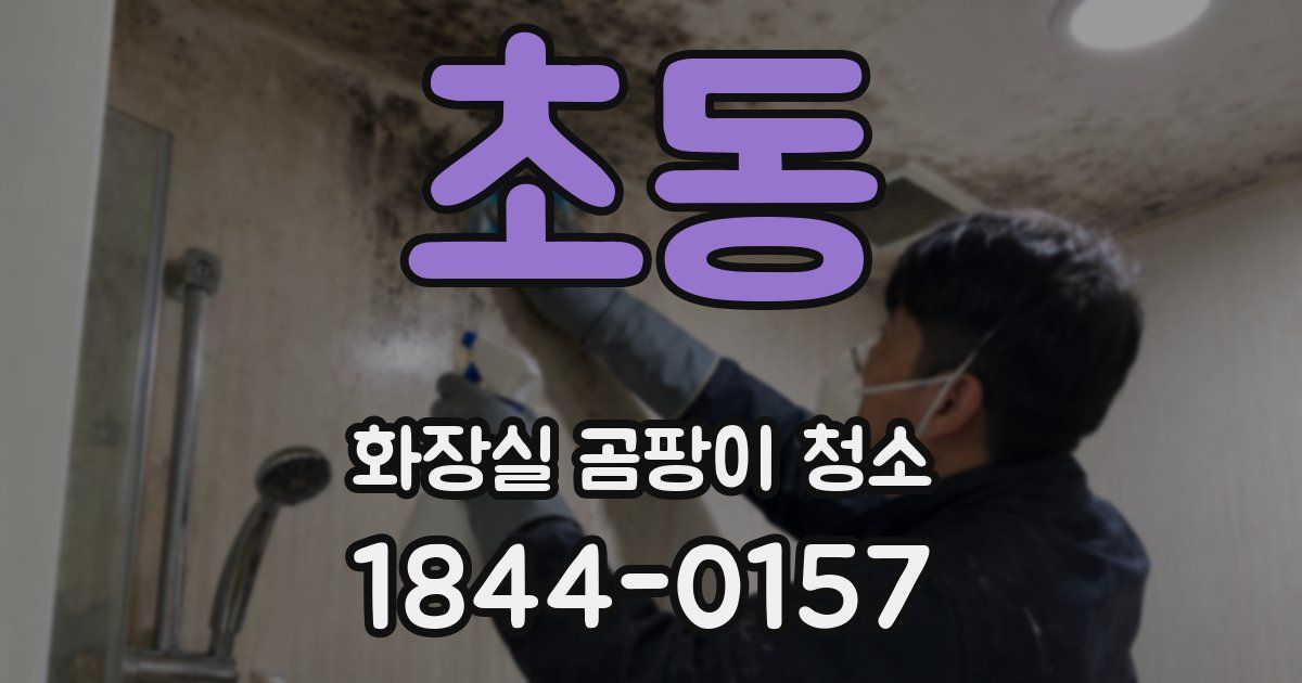 초동 화장실 곰팡이 청소