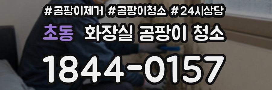 초동 화장실 곰팡이 청소