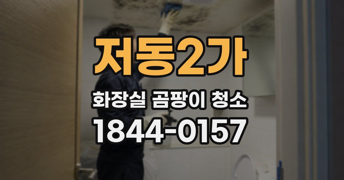 저동2가 화장실 곰팡이 청소