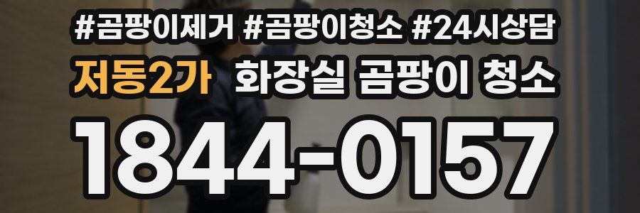 저동2가 화장실 곰팡이 청소