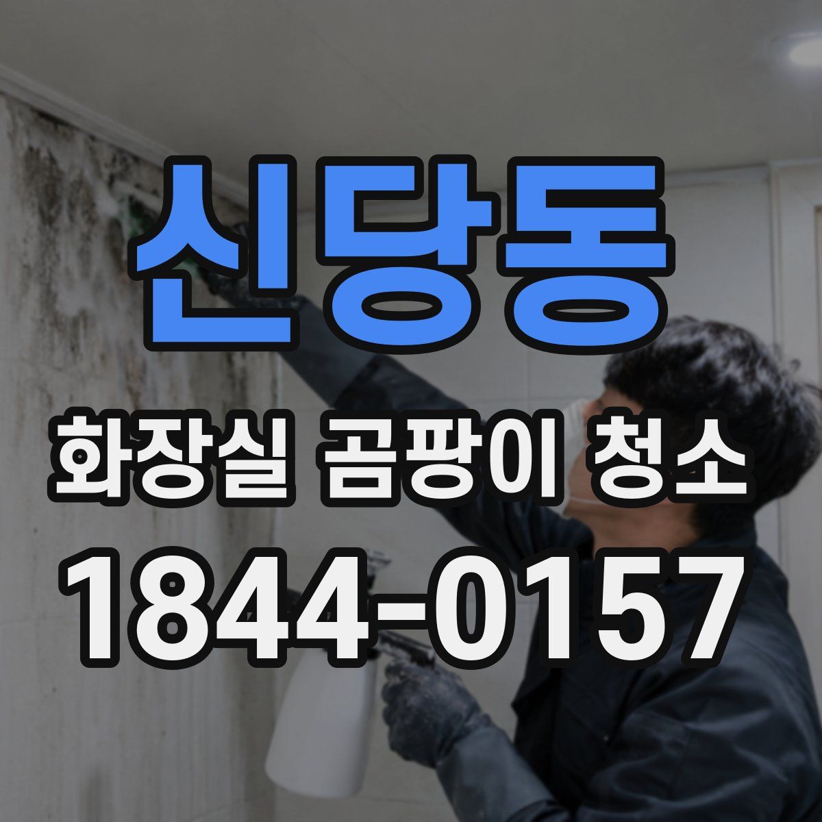신당동 화장실 곰팡이 청소