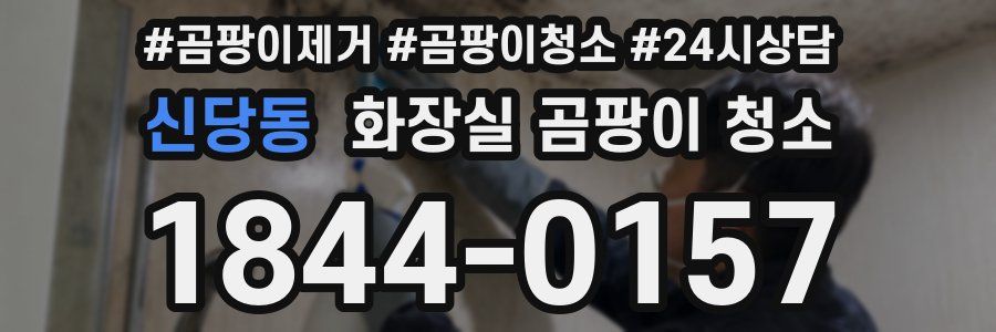 신당동 화장실 곰팡이 청소