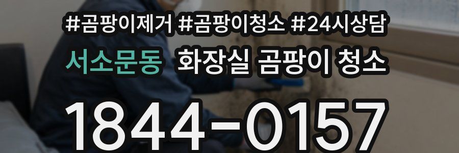 서소문동 화장실 곰팡이 청소