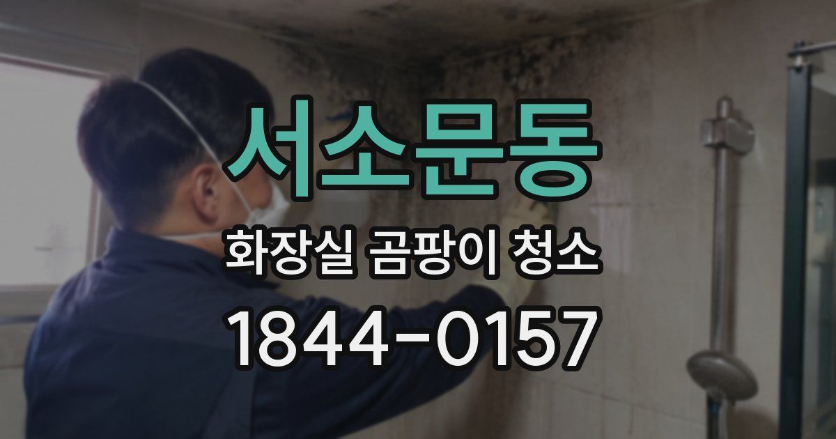 서소문동 화장실 곰팡이 청소