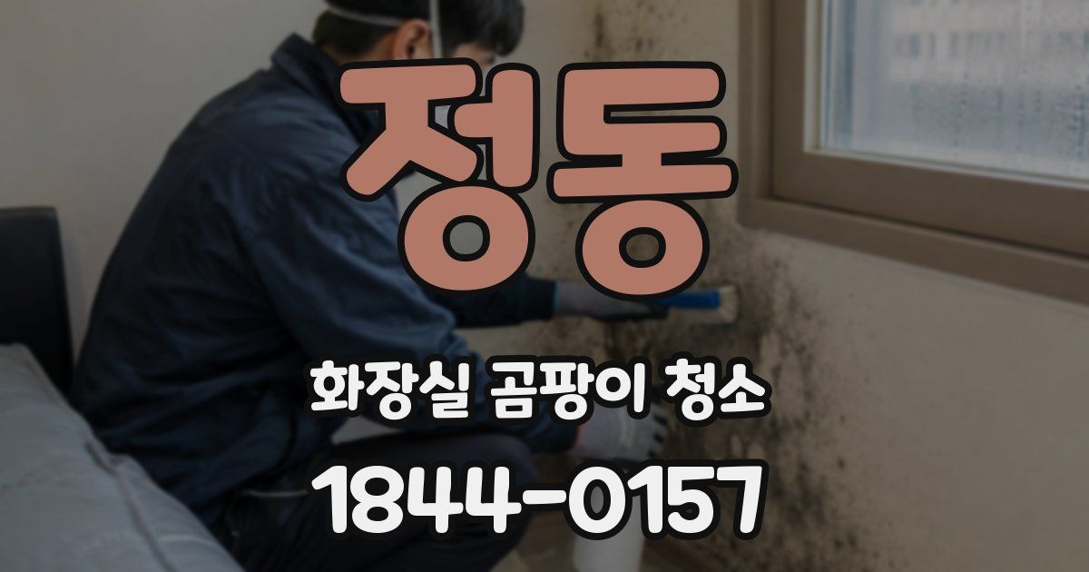 정동 화장실 곰팡이 청소