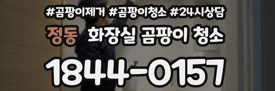 정동 화장실 곰팡이 청소