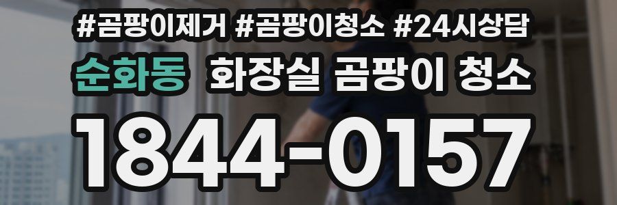 순화동 화장실 곰팡이 청소