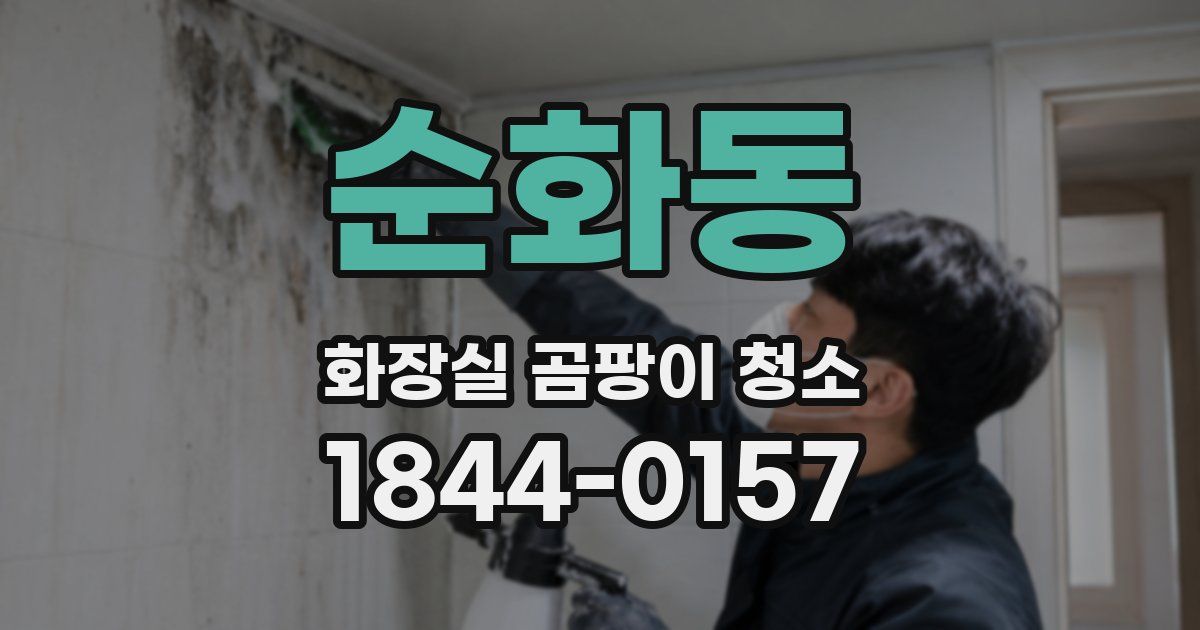 순화동 화장실 곰팡이 청소