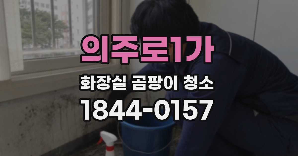 의주로1가 화장실 곰팡이 청소