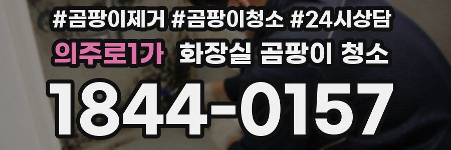 의주로1가 화장실 곰팡이 청소