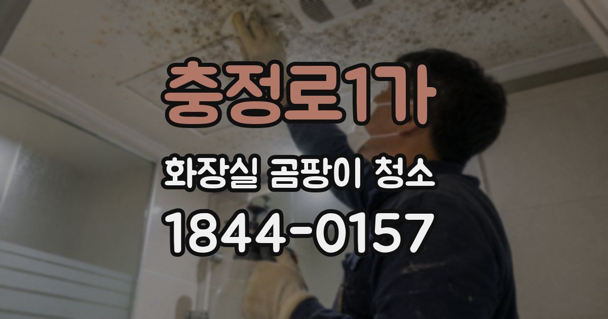 충정로1가 화장실 곰팡이 청소