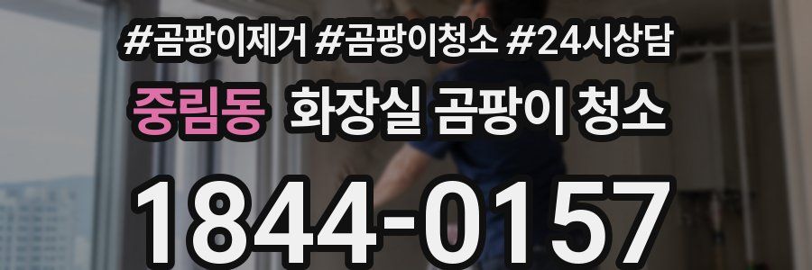 중림동 화장실 곰팡이 청소