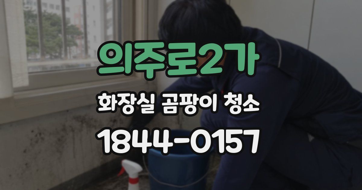의주로2가 화장실 곰팡이 청소