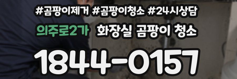 의주로2가 화장실 곰팡이 청소