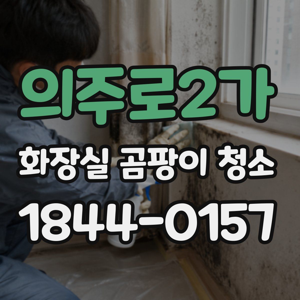 의주로2가 화장실 곰팡이 청소