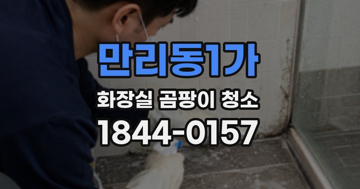 만리동1가 화장실 곰팡이 청소