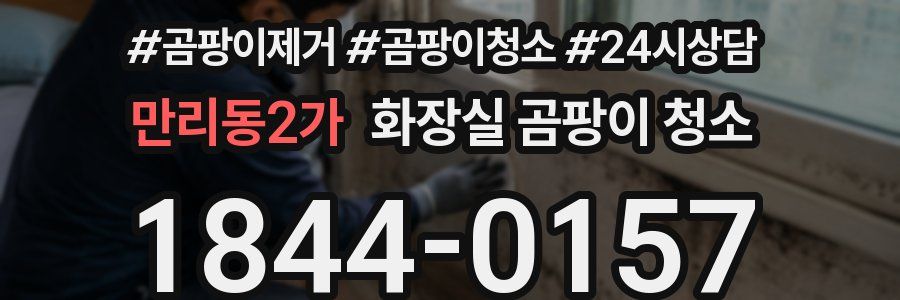 만리동2가 화장실 곰팡이 청소