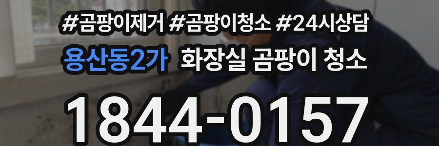 용산동2가 화장실 곰팡이 청소