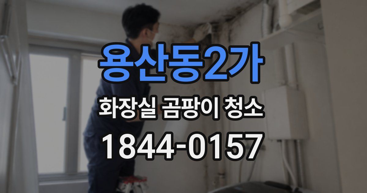 용산동2가 화장실 곰팡이 청소