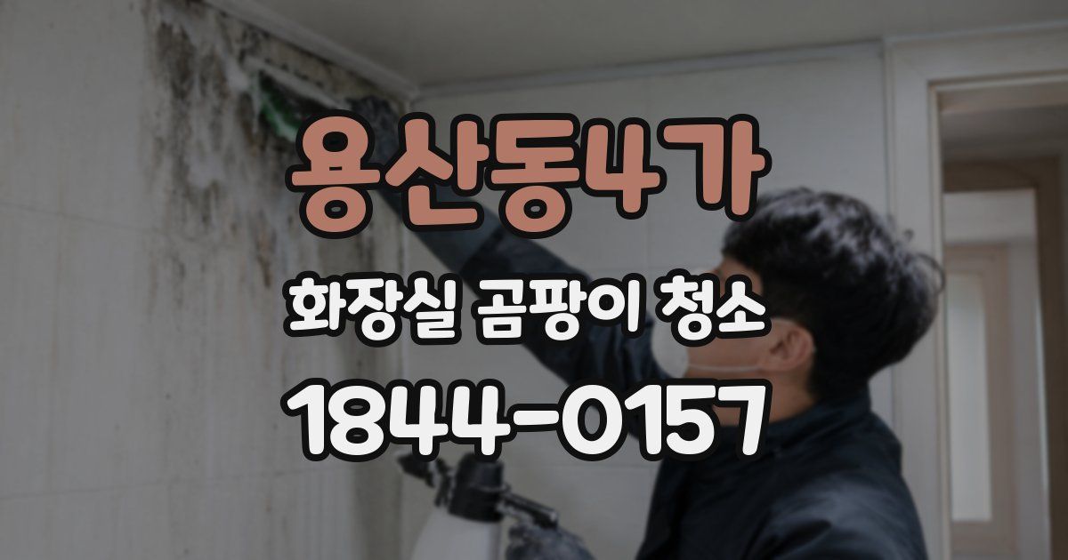 용산동4가 화장실 곰팡이 청소