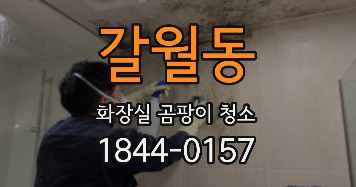 갈월동 화장실 곰팡이 청소