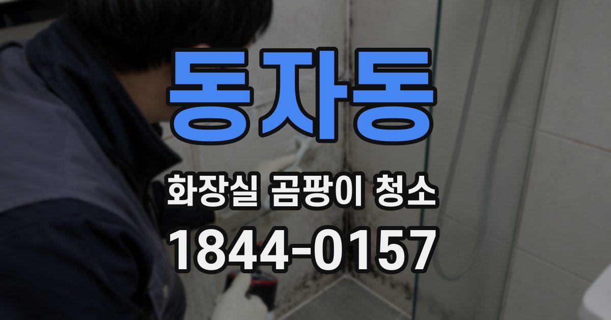 동자동 화장실 곰팡이 청소
