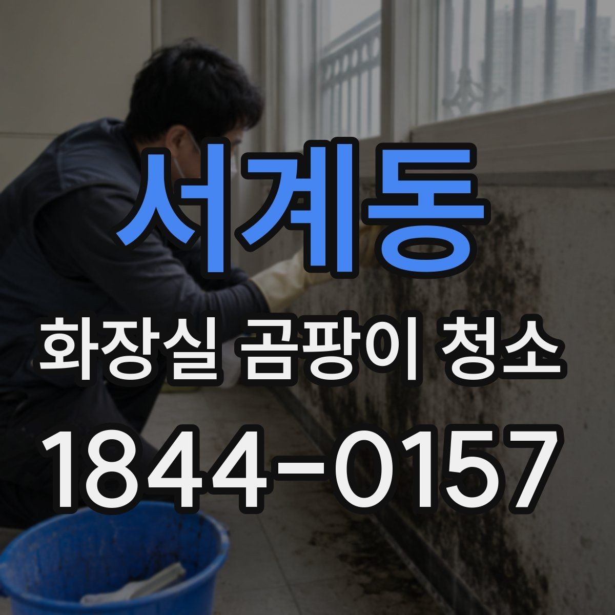 서계동 화장실 곰팡이 청소 곰팡이 제거 후 재발 줄이는 관리법