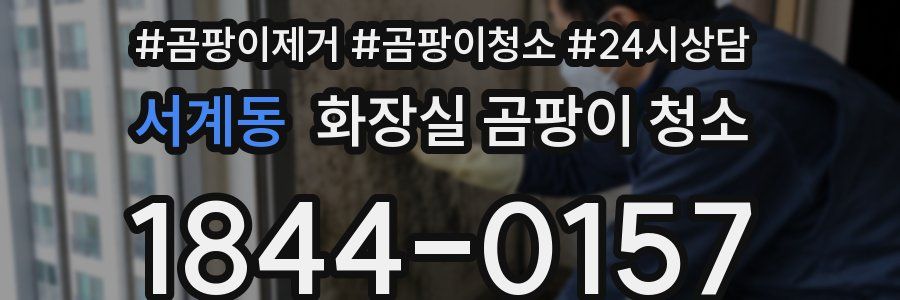 서계동 화장실 곰팡이 청소