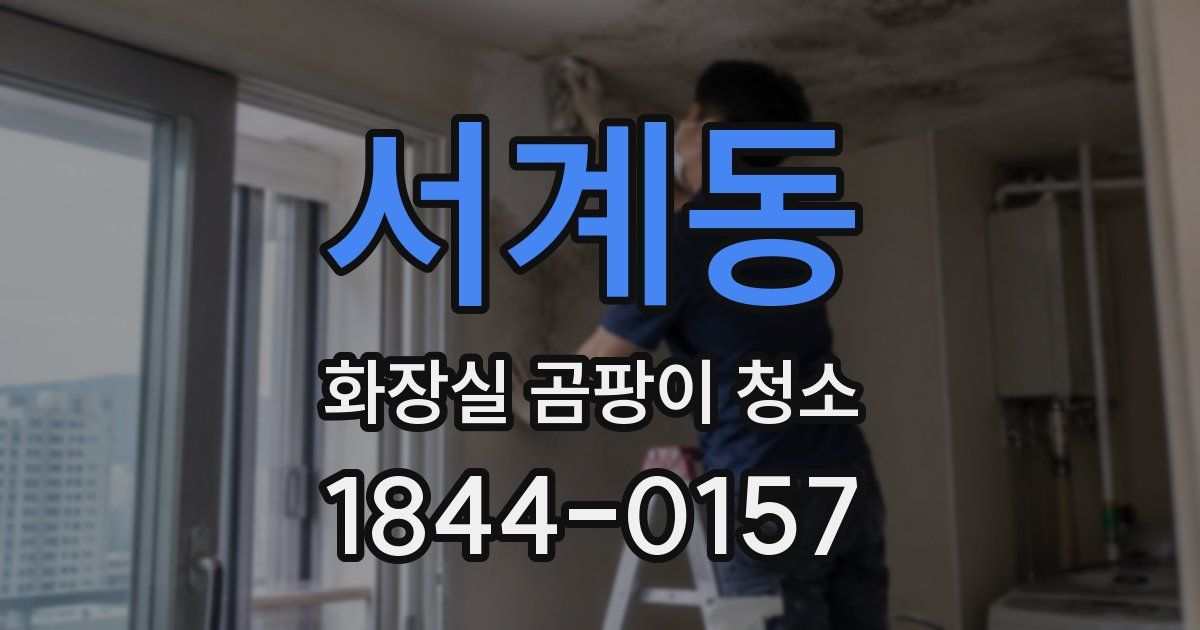 서계동 화장실 곰팡이 청소
