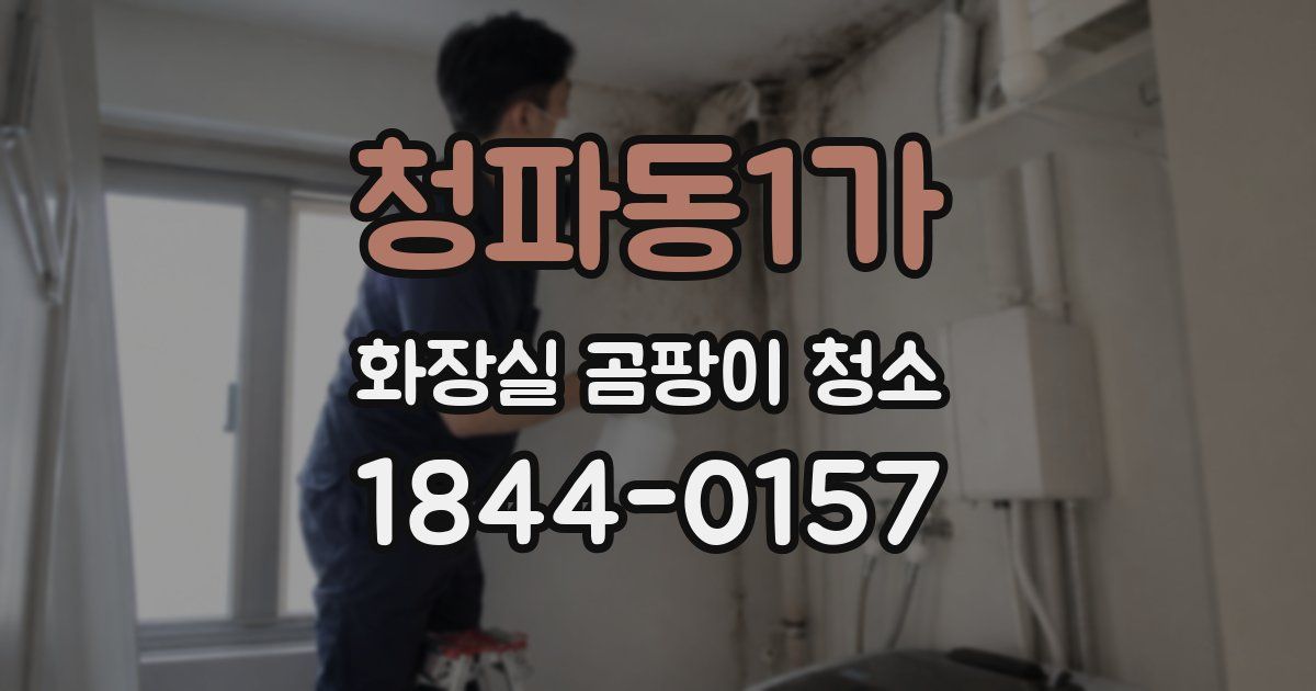 청파동1가 화장실 곰팡이 청소