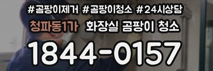 청파동1가 화장실 곰팡이 청소