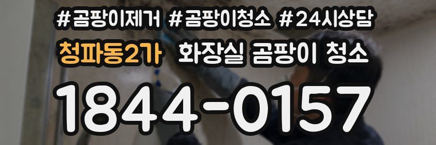 청파동2가 화장실 곰팡이 청소